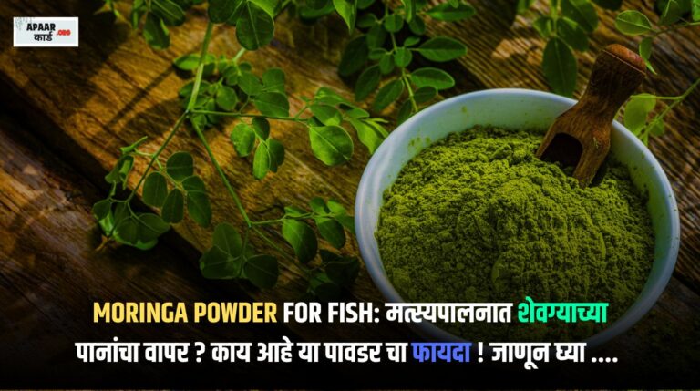 Moringa Powder For Fish